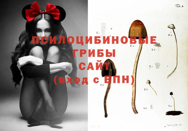 синтетический гашиш Кулебаки