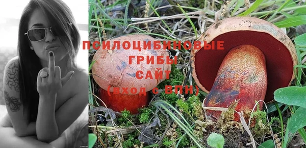 прущий лед Кукмор