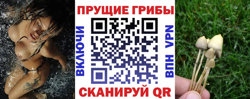 Псилоцибиновые грибы прущие грибы  Камышин 